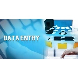 Hire a Top Quality Data Entry Team
